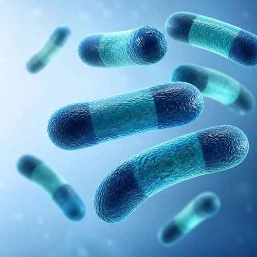 KI-generierte Illustration des Lungenpest-Erregers Yersinia pestis